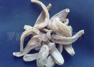 云南麗江天麻(目前接受預定,產(chǎn)期到可發(fā)貨)_醫(yī)藥、保養(yǎng)_世界工廠網(wǎng)中國產(chǎn)品信息庫