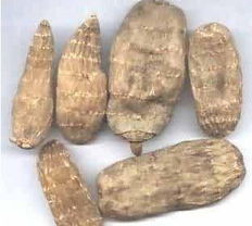 漢中市地方特產 佛坪天麻