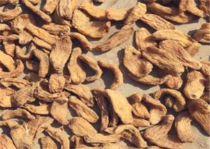 天麻的功效、食用方法與禁忌人群